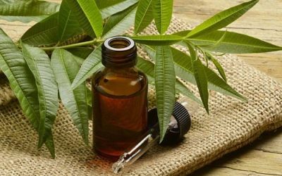 5 benefits of using Tea Tree oil for your hair
