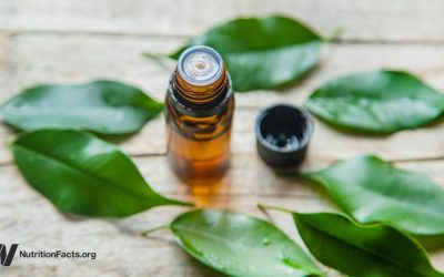 Tea Tree Oil and Hormonal Side Effects