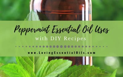 Peppermint Essential Oil Uses and Benefits with DIY Recipes
