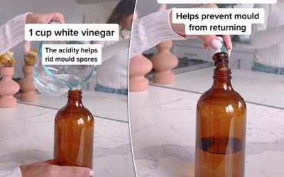 Three-ingredient natural formula to get rid of mould for good | Daily Mail Online