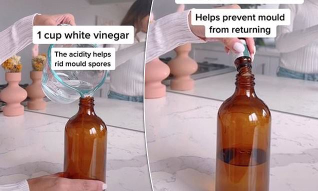 Three-ingredient natural formula to get rid of mould for good | Daily Mail Online