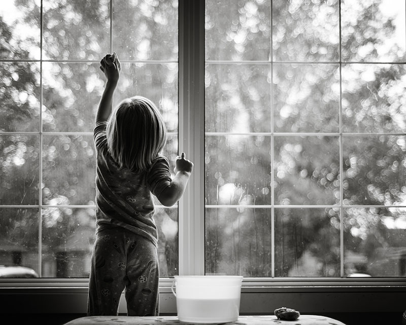 Window cleaning tips for the homeowner